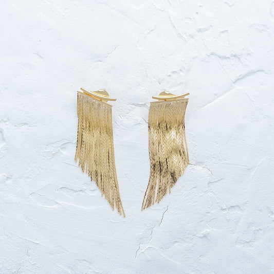 Fancy Tassel Push Back Earrings